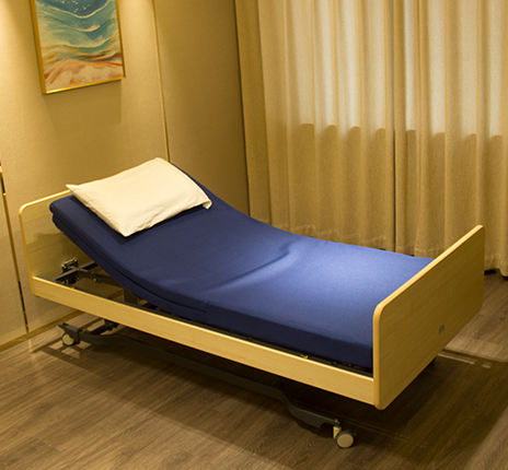 福享型電動(dòng)床